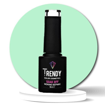 Trendy No78 Ice Mind - 6ml...