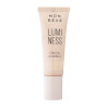 Mon Reve Luminess concealer 101