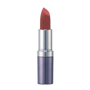 Seventeen lipstick special N 305